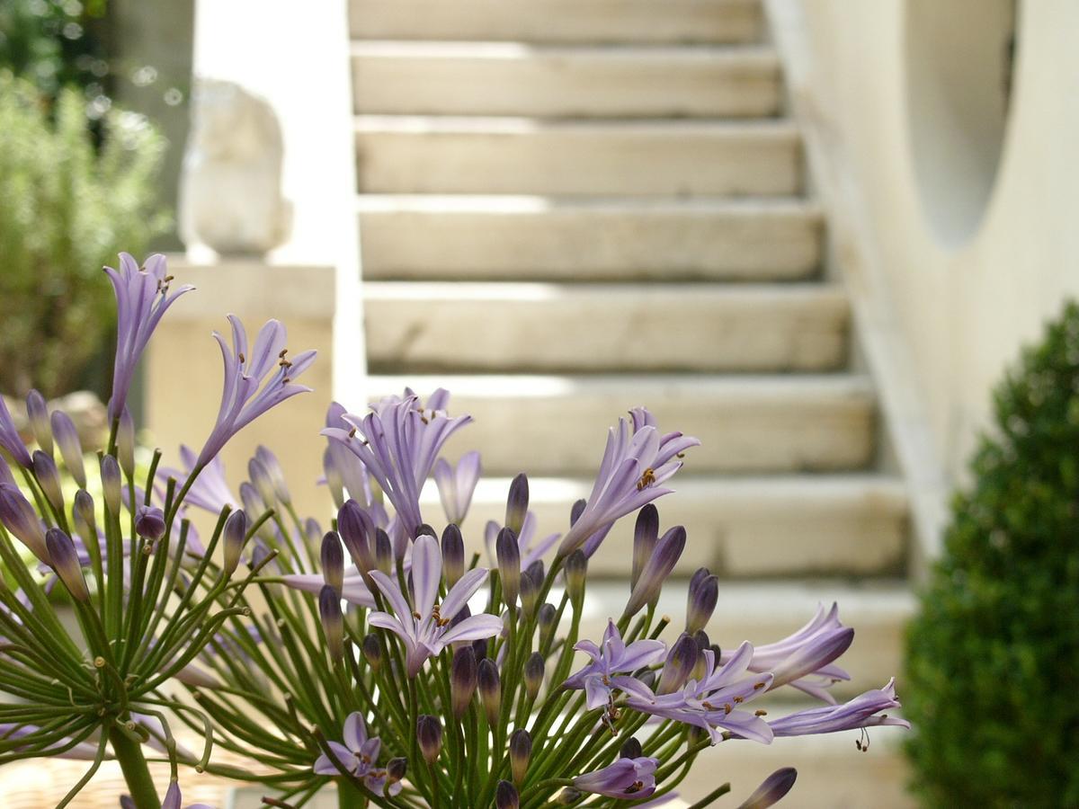 Primaluce Bed & Breakfast Venesia Bagian luar foto